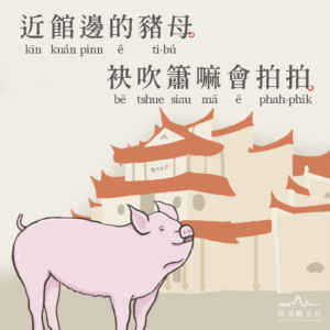 近館邊的豬母，袂吹簫嘛會拍拍